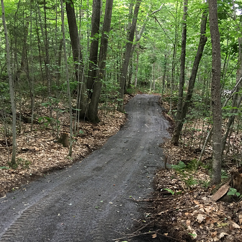 Broyage forestier - sentier 6